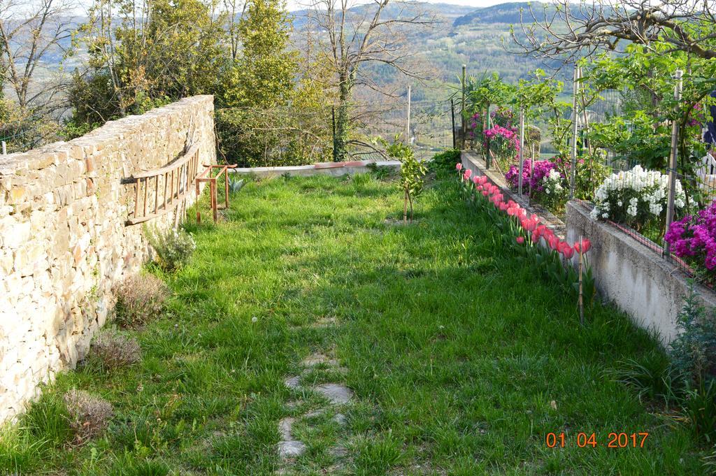 House Of Veli Joze Villa Motovun Exterior photo