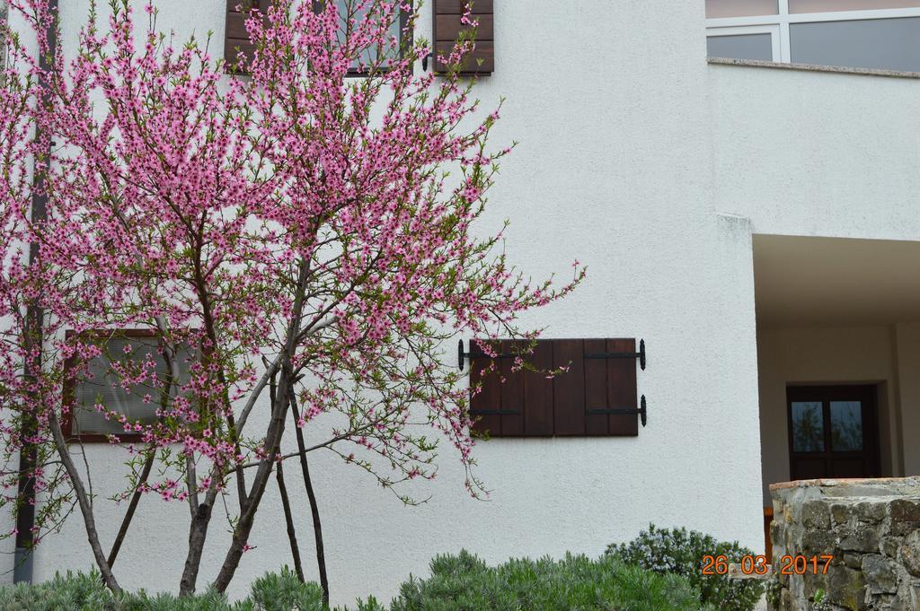 House Of Veli Joze Villa Motovun Exterior photo